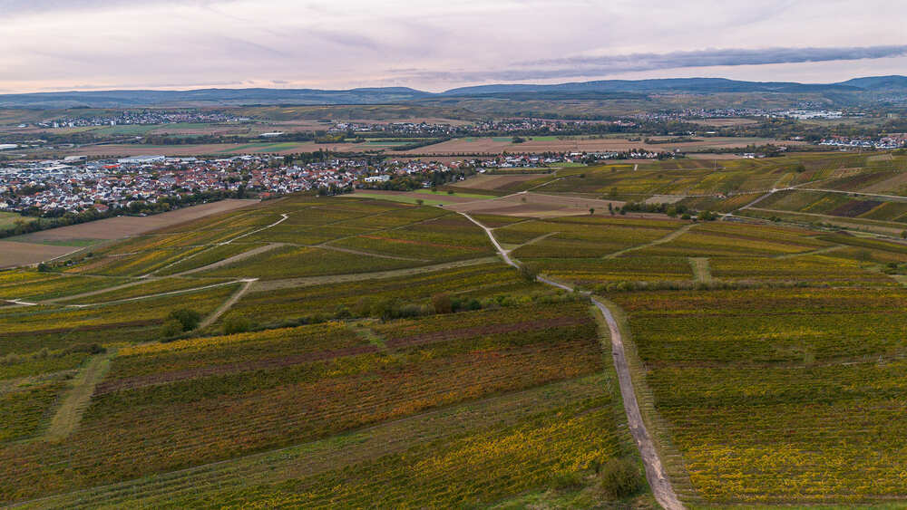 Aussichtspunkt Bosenberg