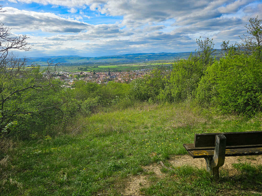 Aussichtspunkt Richardshöhe