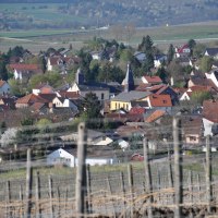 2015-04-18 (86) KH Winzenheim, Weinberghaus 1, San © Weingut Butzbach