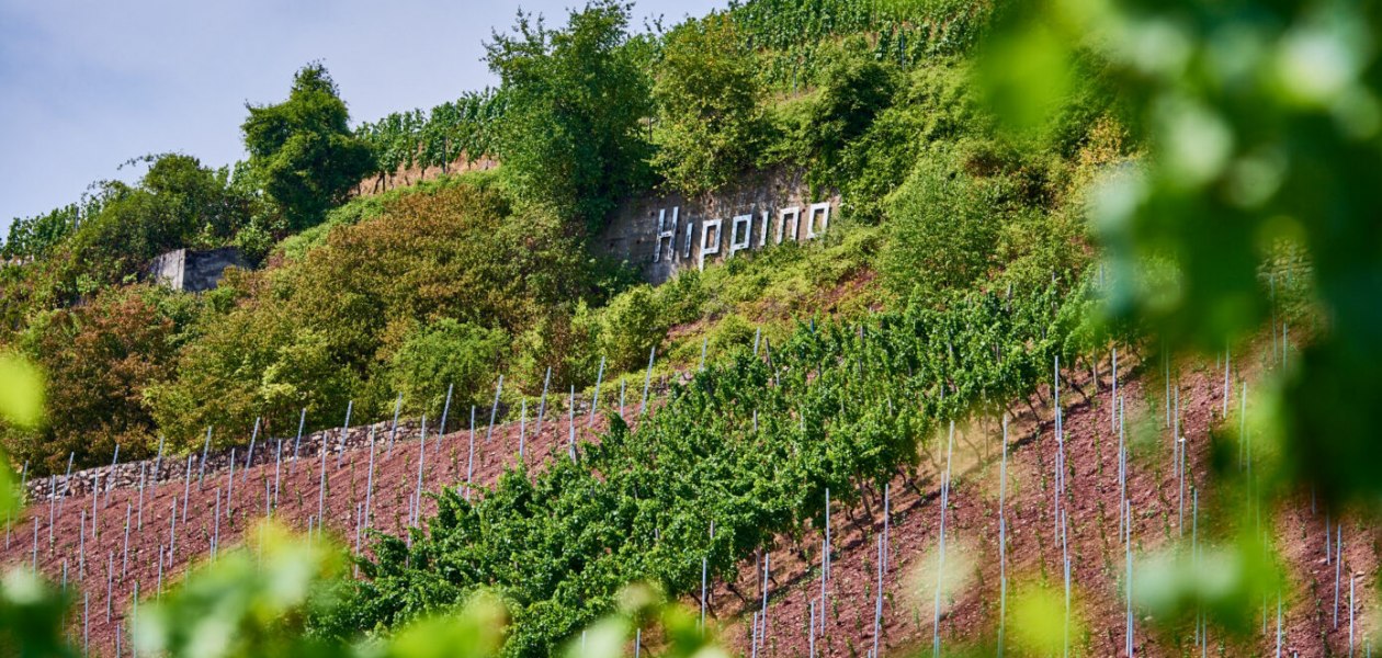 Weingut Manz_Hipping, © Weingut Manz