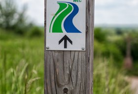 Marker post on the RheinTerrassenWeg