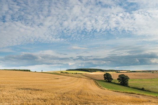 Rheinhessische-Schweiz, © Dominik Ketz