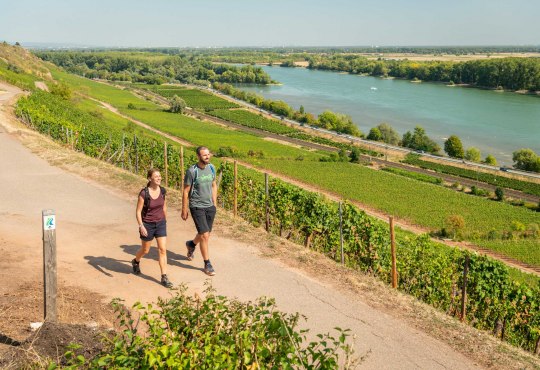 Wandelend stel met uitzicht op de Rijn, © Dominik Ketz