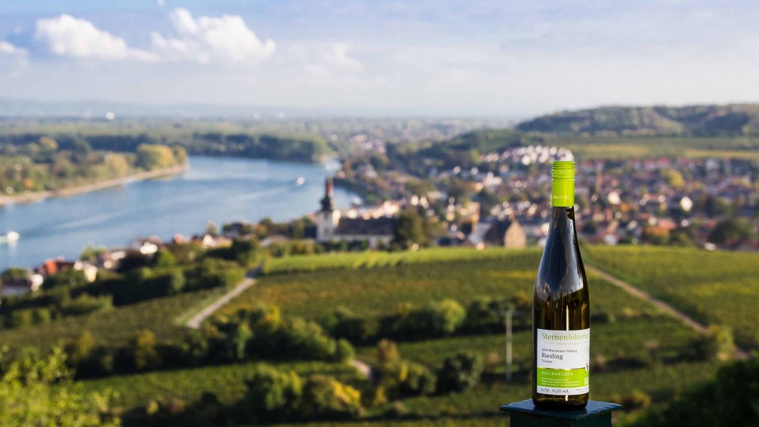 wijnmakerij-kopp-sternenfelserhof-uitzicht-op-de-rode-piste-internet, © Weingut Sternenfelserhof
