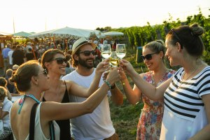 Wine festival in the Kirchenstück