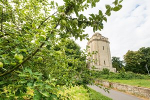 Bismarckturm Ingelheim