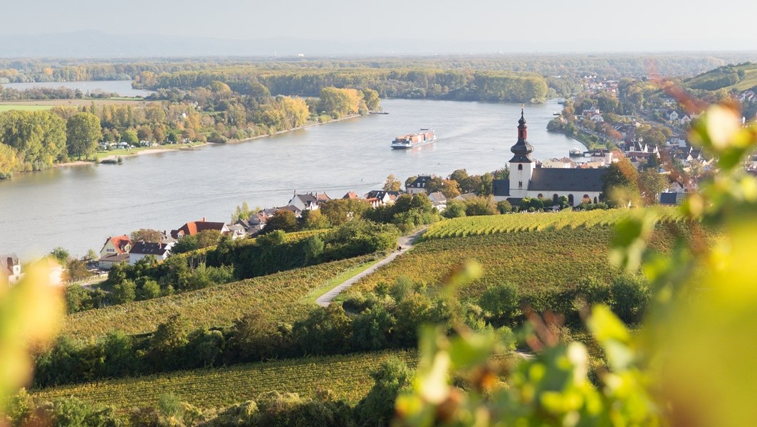 Nierstein 0145675_georg-knoll-30, © Weingut Heise am Kranzberg