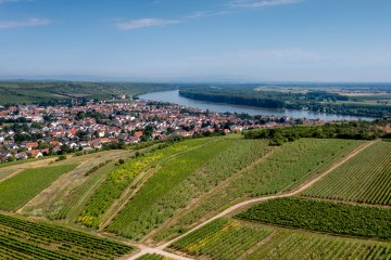 Niersteiner Parterberg-DJI_0222-178