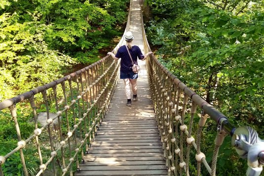 Hängebrücke-Binger-Wald-Baumgeistertour