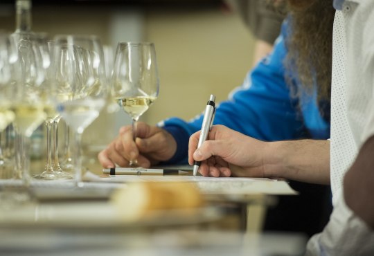 Wine tasting with press, © Marco Urban