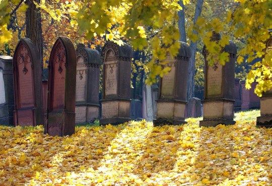 Alter Jüdischer Friedhof