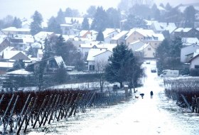 2018 (3) Winter © Weingut Butzbach