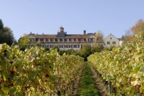 4Schloss_front, © Weingut Schloß Westerhaus