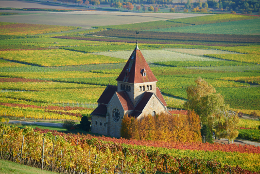 Exploring On and Around the Wißberg, © Robert Dieth