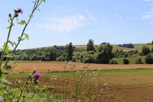 Weite Blicke ins Appelbachtal