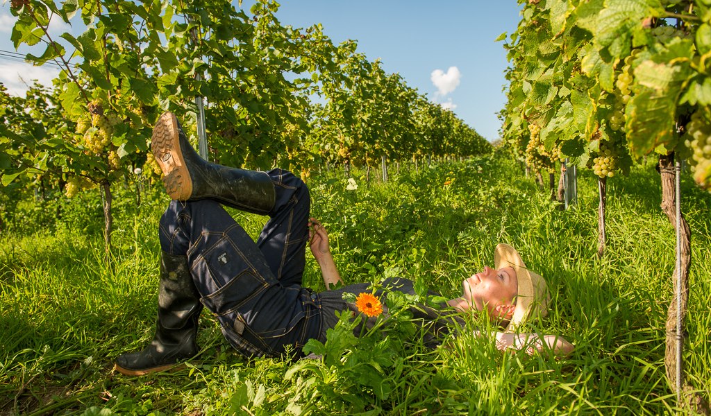 grueneberufe-winemaker_7328_web, © Weingut Schönhals