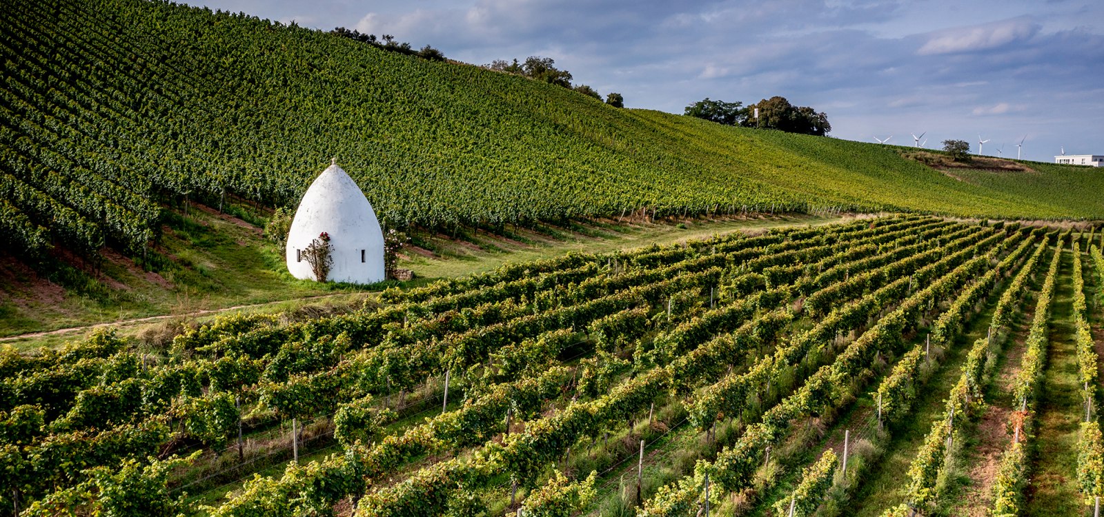 Weinlage Uffhofener La Roche, © Torsten Silz