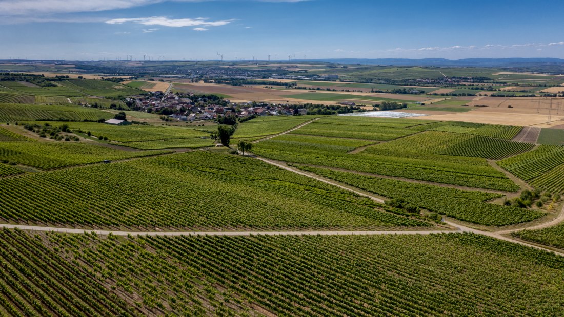 Gau-Heppenheimer Schlossberg