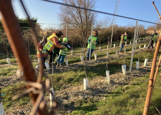 Kinderwingert in Sulzheim