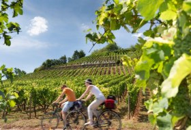 Cycling on the famous vineyard &quot;Roter Hang&quot; © Georg Knoll
