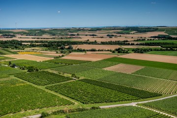 Ober-Olmer Kapellenberg