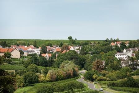 Blick auf Mölsheim