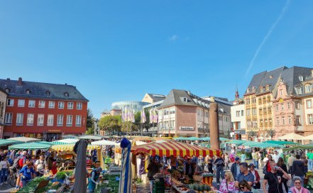 Mainzer Wochenmarkt am Dom, © Katja Zentel