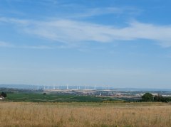 Rheinhessen - Blick nach Gau-Odernheim