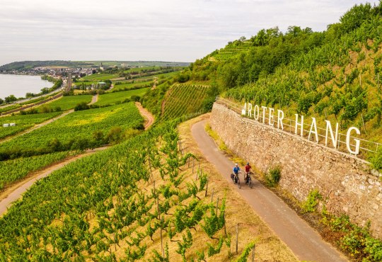 Rode helling in Nierstein, © Dominik Ketz