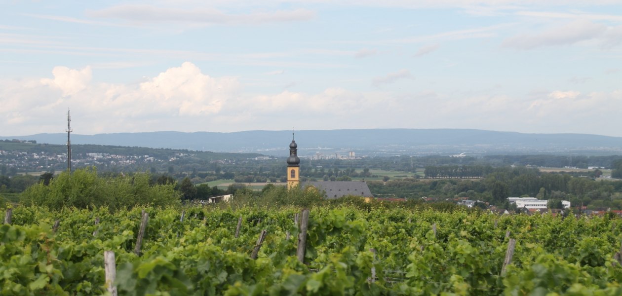 Alt.regional, © Weingut Sans-Lorch