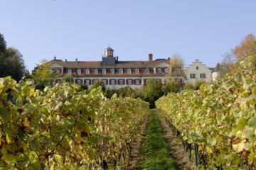 4Schloss_front, © Weingut Schloß Westerhaus