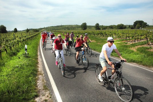 Rhine Cycling, © www.inmedia.info