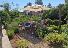 Gutsausschank  - Sommer im Weingut Schales