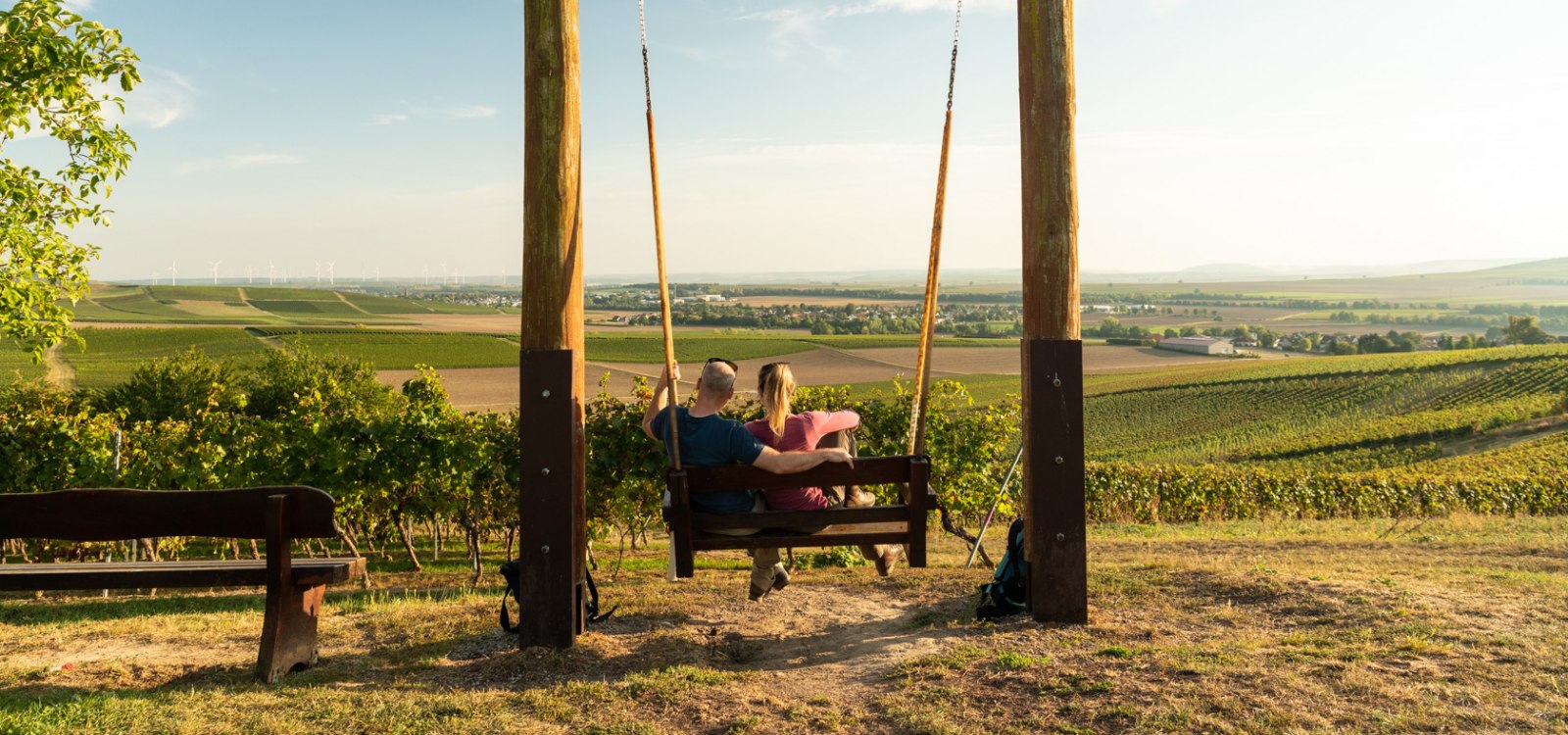 Vineyard swings of Rheinhessen, © Dominik Ketz