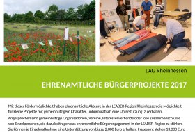 Plakat: Ehrenamtliche Bürgerprojekte 2017