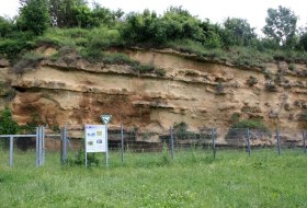 Naturdenkmal Weinheimer Trift