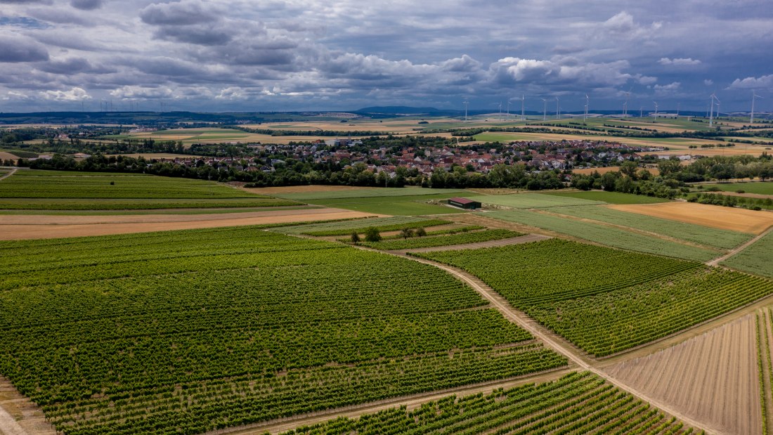 Gau-Weinheimer Geyersberg