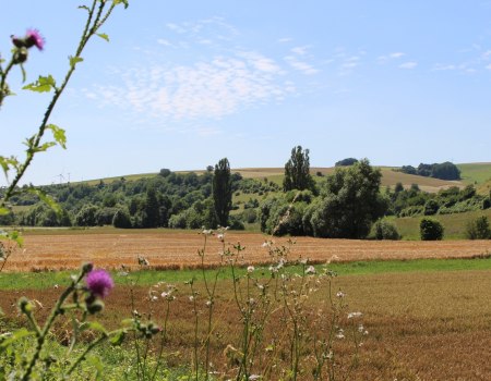 Wide views into the Appelbachtal