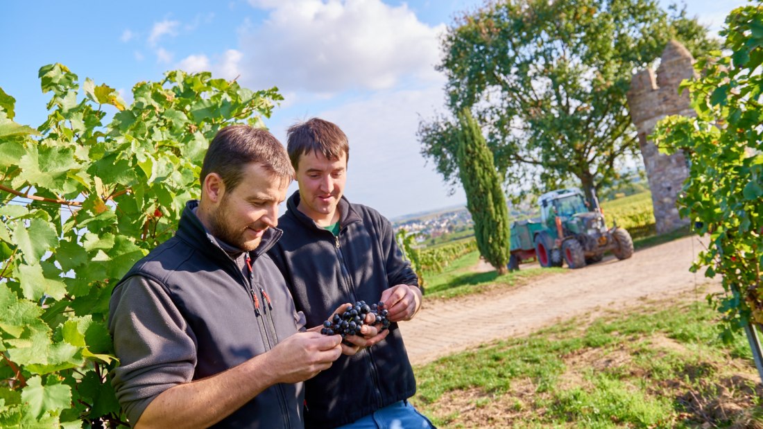 Weingut Geil_Winzer, © Weingut Geil