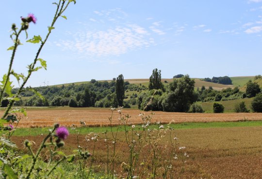 Weite Blicke ins Appelbachtal