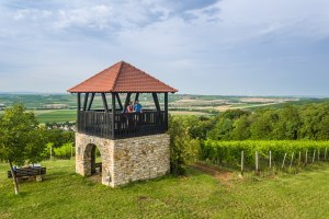 Aussichtsturm Bornheim, © Dominik Ketz