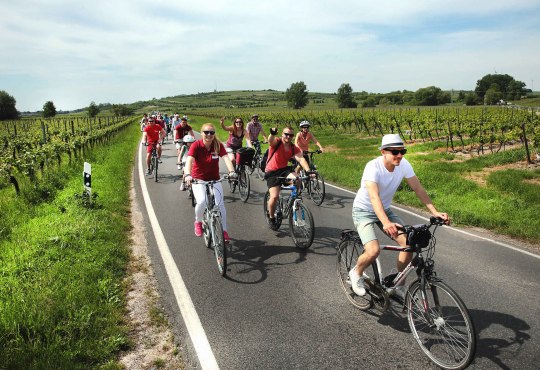 Rhine Cycling, © www.inmedia.info