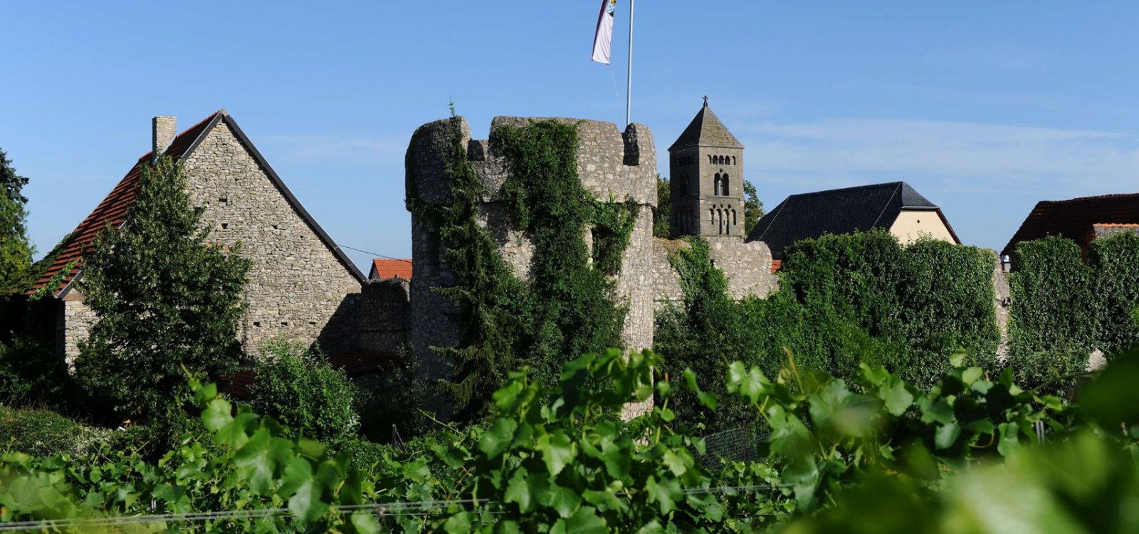 stain wall-c-vg-Monsheim-Carsten-costard, © Carsten Costard