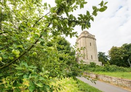 Bismarckturm Ingelheim