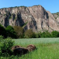 05 Mai 1.4 © Weingut Butzbach