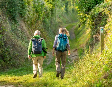 Wanderweg auf der Hiwweltour Westerberg, © © Dominik Ketz