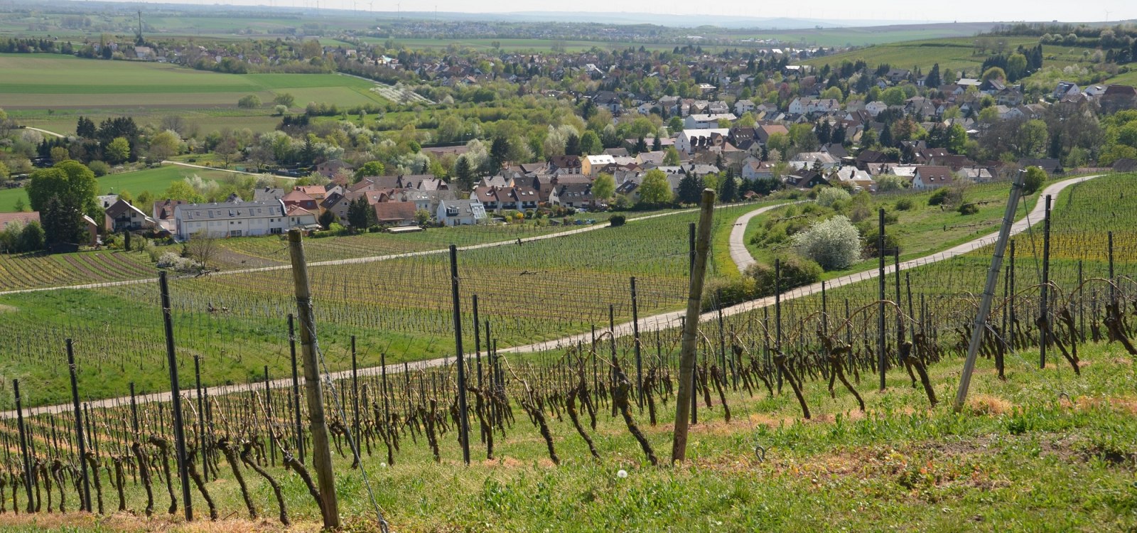 View of Gau-Bischofsheim