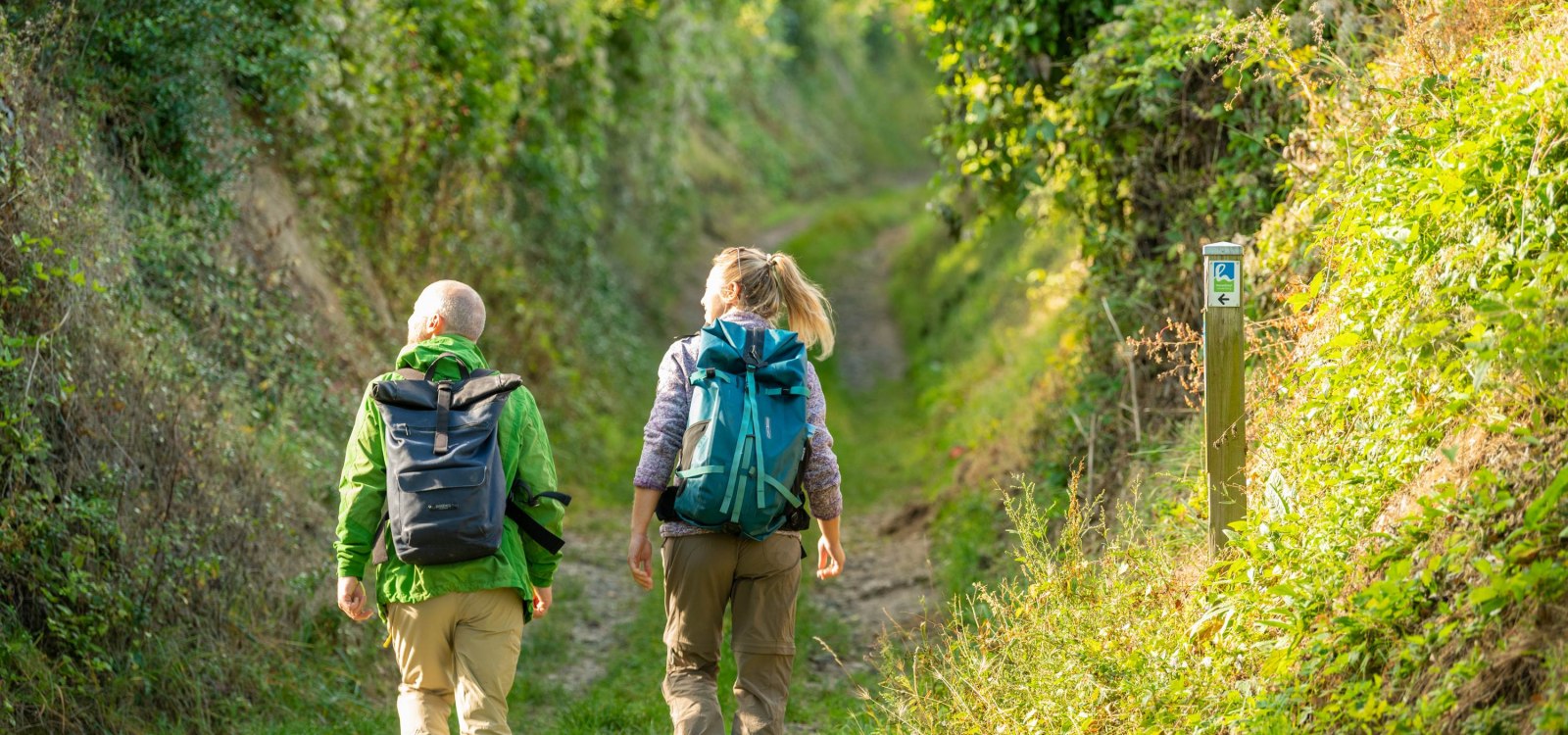 Wanderweg auf der Hiwweltour Westerberg, © © Dominik Ketz