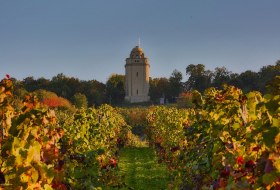 Bismarck tower with view from the vineyards