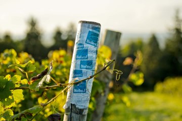 wijnmakerij-gaenz-bioland-stapel, © Weingut Gänz